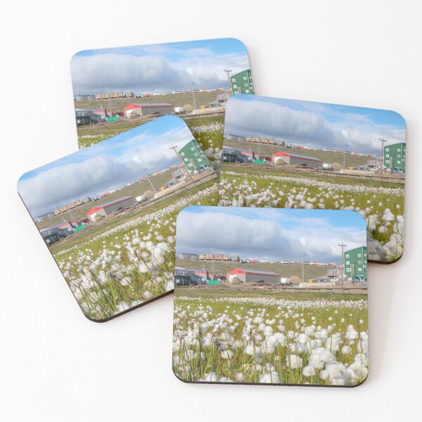 Item preview, Blooming arctic cotton in Iqaluit, Nunavut, Canada designed and sold by VadimK.