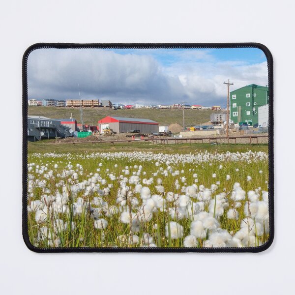 Item preview, Blooming arctic cotton in Iqaluit, Nunavut, Canada designed and sold by VadimK.