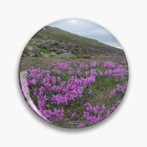 Item preview, Iqaluit, Nunavut: blooming tundra - field of flowers designed and sold by VadimK.