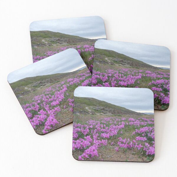 Item preview, Iqaluit, Nunavut: blooming tundra - field of flowers designed and sold by VadimK.