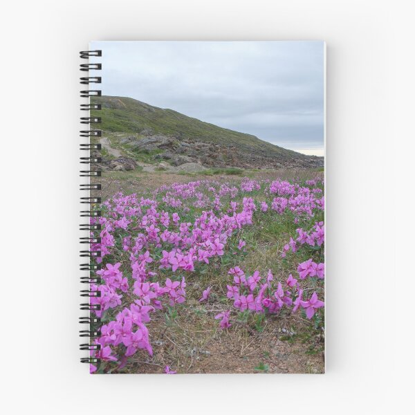 Item preview, Iqaluit, Nunavut: blooming tundra - field of flowers designed and sold by VadimK.