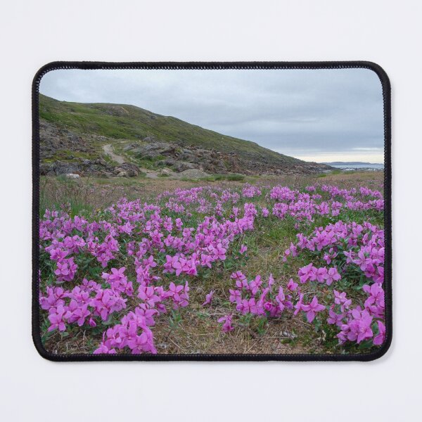 Item preview, Iqaluit, Nunavut: blooming tundra - field of flowers designed and sold by VadimK.