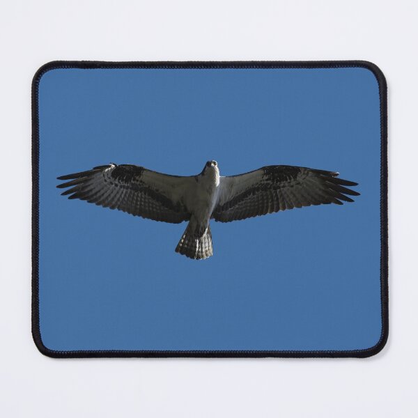 Item preview, Bird of prey - Osprey in flight designed and sold by Zina Stromberg.