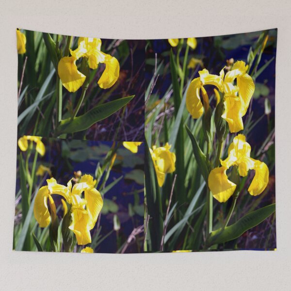 Item preview, Wild yellow iris designed and sold by B. Randi Bailey.