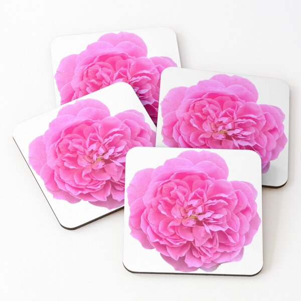 Item preview, Pink Rose Flower Still Life Floral Photography designed and sold by CottoVerdi.