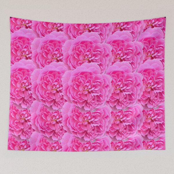 Item preview, Pink Rose Flower Still Life Floral Photography designed and sold by CottoVerdi.