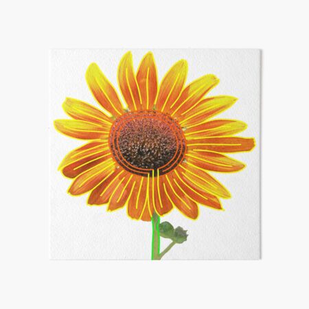 Sunflower (Eco Art) Art Board Print