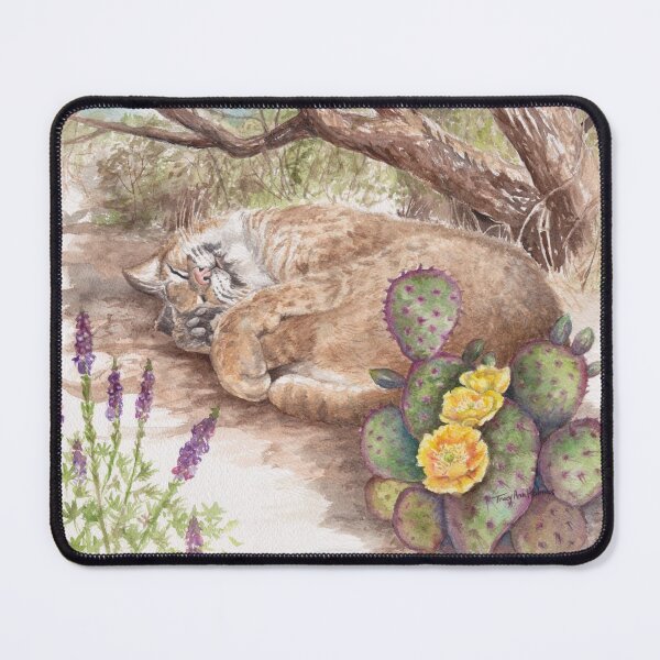 Item preview, Catnap, Sonoran Desert designed and sold by tracyannholmes.