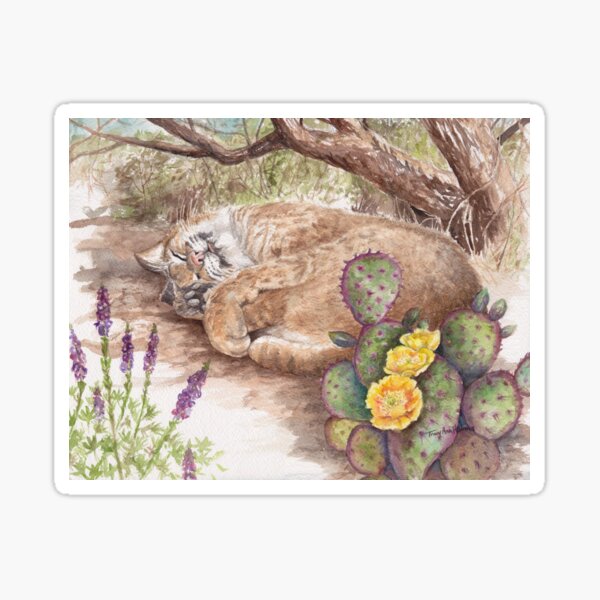 Catnap, Sonoran Desert Sticker