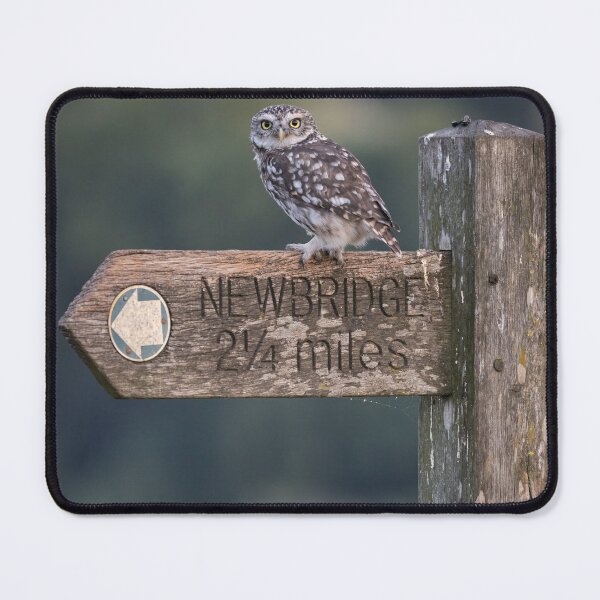 Item preview, Guiding Me designed and sold by iaintall.