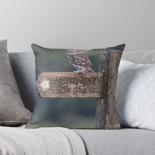 Item preview, Guiding Me designed and sold by iaintall.
