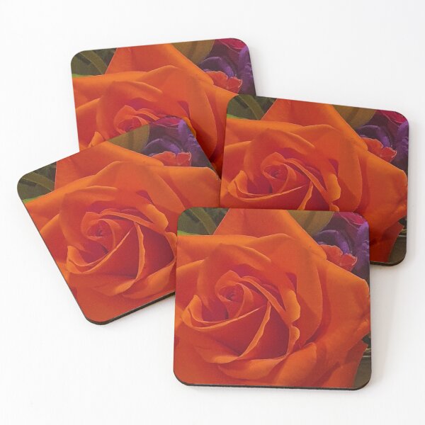 Orange Rose In Bloom Coasters (Set of 4)