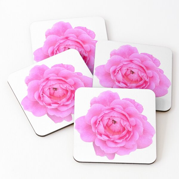 Item preview, Pink Rose Flower Still Life Floral Photography designed and sold by CottoVerdi.