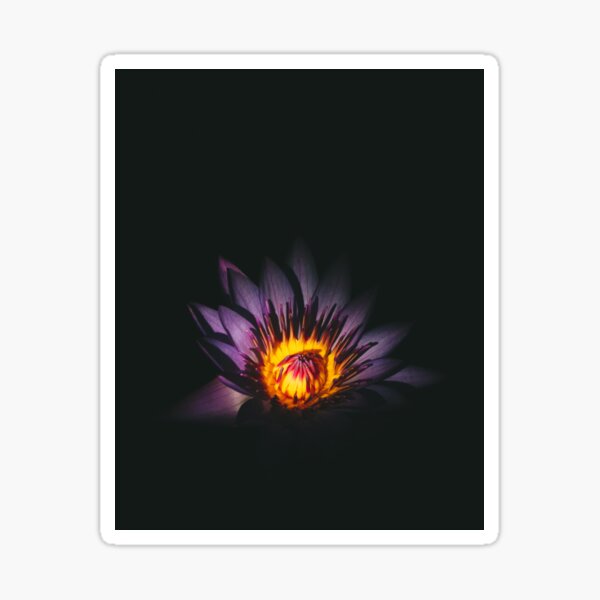 Regalos y productos: Flor Morada Oscura | Redbubble