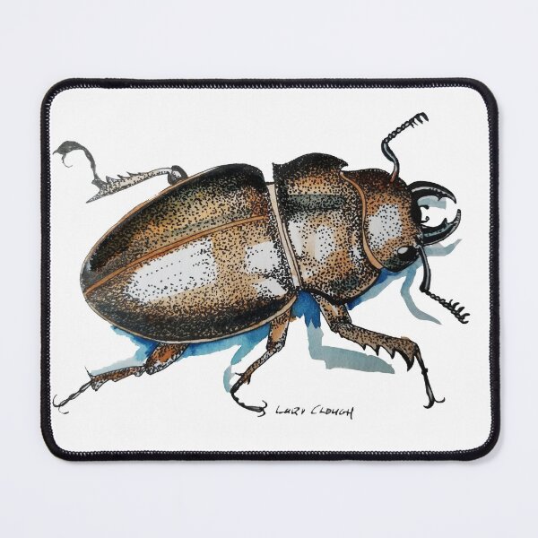 Item preview, Stag Beetle with color designed and sold by Lori Clough.