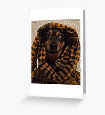 Sheherezada Love Story. Greeting Card