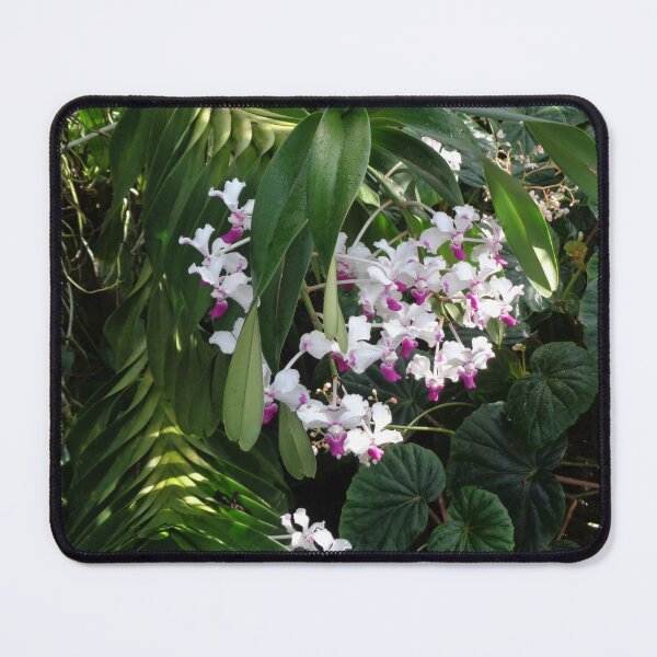 Item preview, Lush Orchids designed and sold by GardenArtworks.