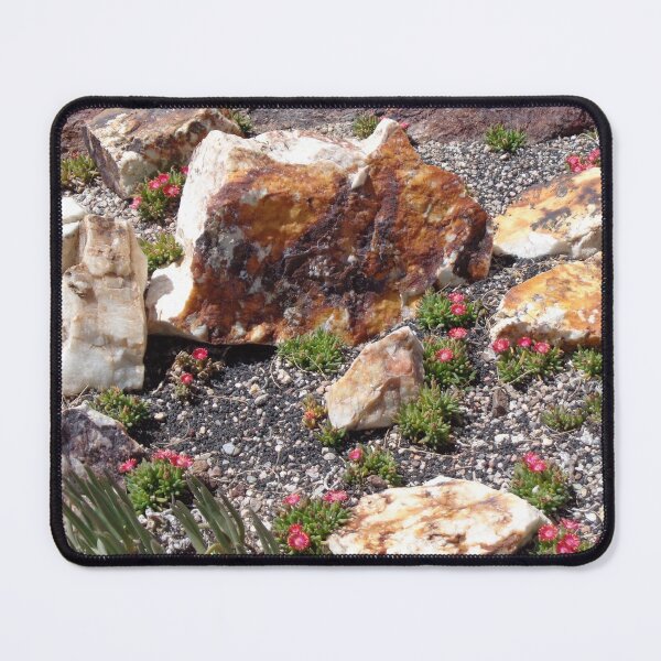 Item preview, On the Rocks designed and sold by GardenArtworks.