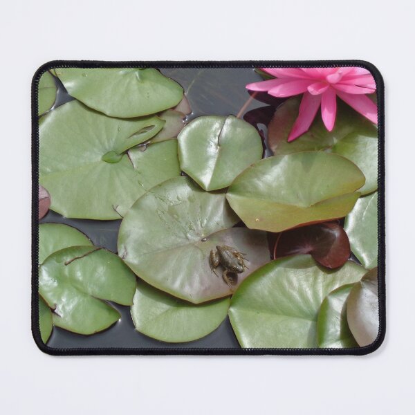Item preview, Tiny Frog designed and sold by GardenArtworks.