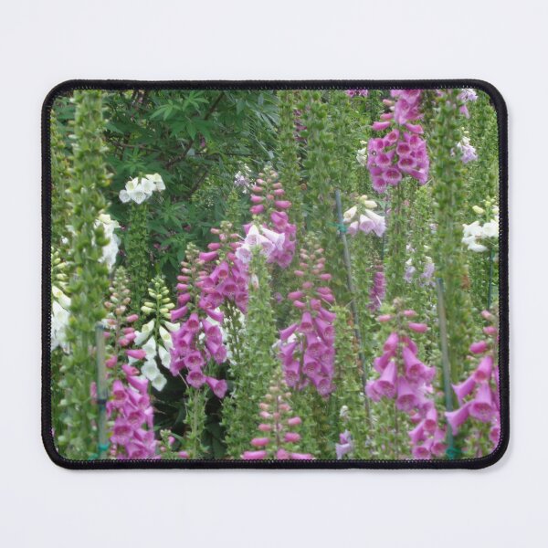 Item preview, Foxgloves designed and sold by GardenArtworks.