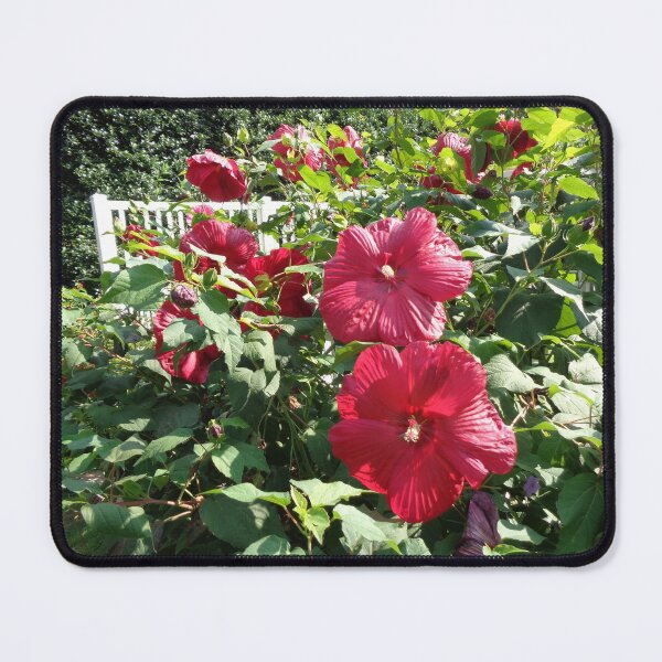 Item preview, Blooming Red designed and sold by GardenArtworks.