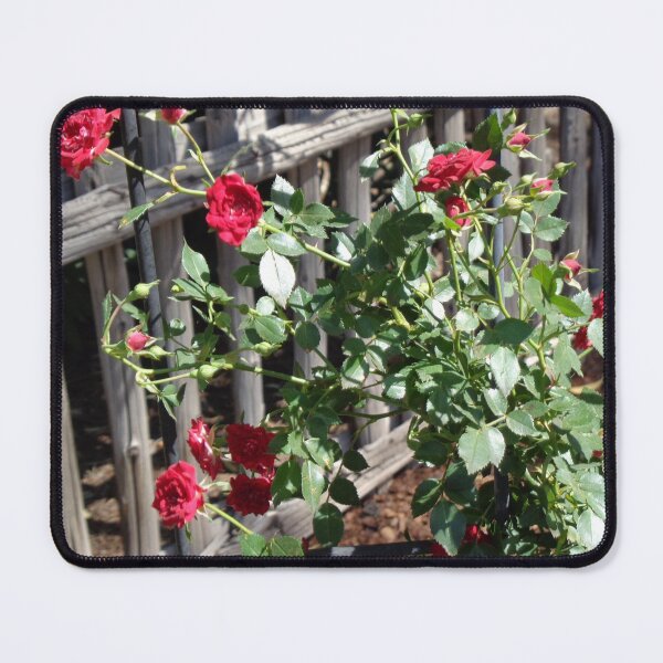Item preview, On the Fence designed and sold by GardenArtworks.