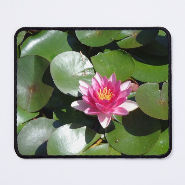 Item preview, Water Lily designed and sold by GardenArtworks.