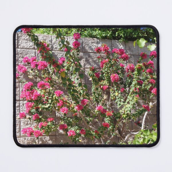 Item preview, Climbing the Wall designed and sold by GardenArtworks.