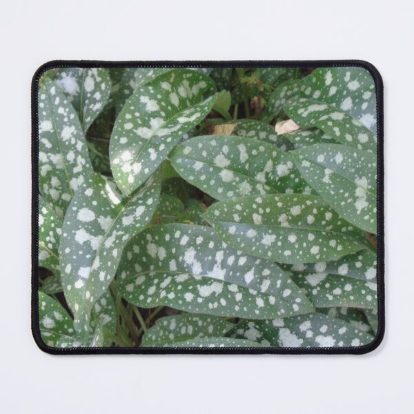 Item preview, Dappled designed and sold by GardenArtworks.