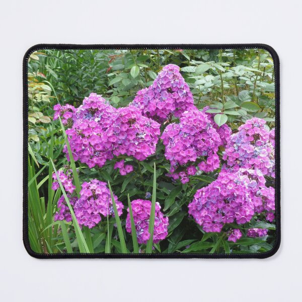 Item preview, Purple Pop designed and sold by GardenArtworks.