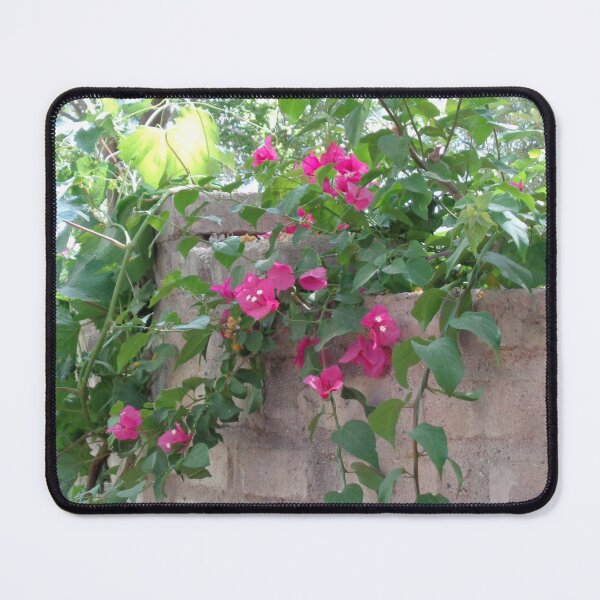 Item preview, Over the Wall designed and sold by GardenArtworks.