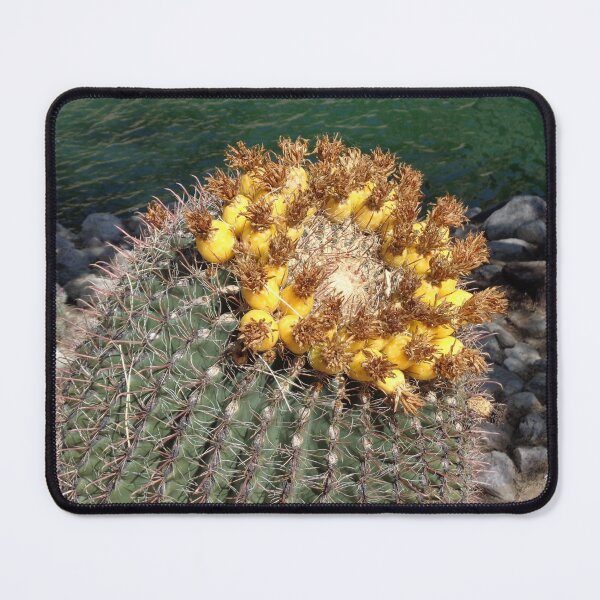 Item preview, Cactus by the Water designed and sold by GardenArtworks.