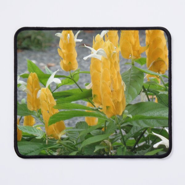 Item preview, Lemon Drop designed and sold by GardenArtworks.