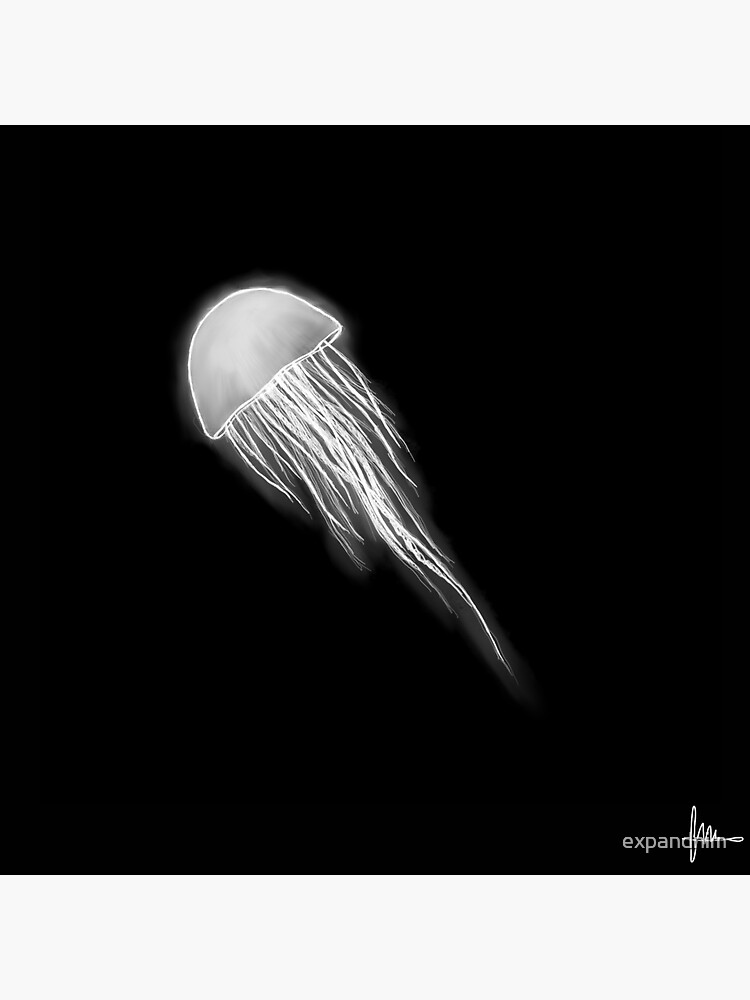 "Jellyfish" Sticker for Sale by expandnim Redbubble