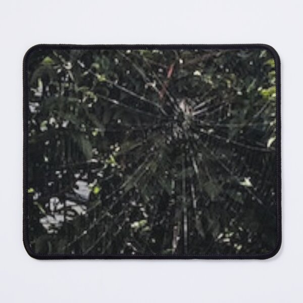 Nature Spider Web inspired artwork Mouse Pad