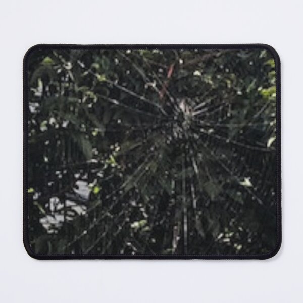Item preview, Nature Spider Web  inspired artwork designed and sold by Holymaud.