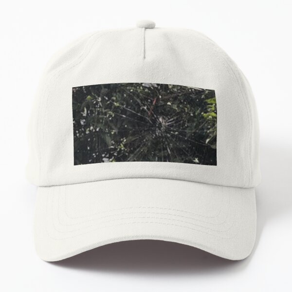 Nature Spider Web inspired artwork Dad Hat