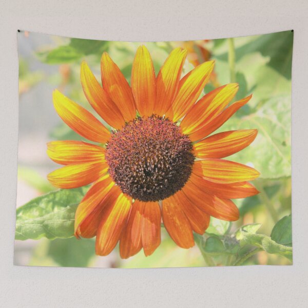 Item preview, Sunflower – New Harmony Indiana (Moments Collection) designed and sold by Bill Ressl.