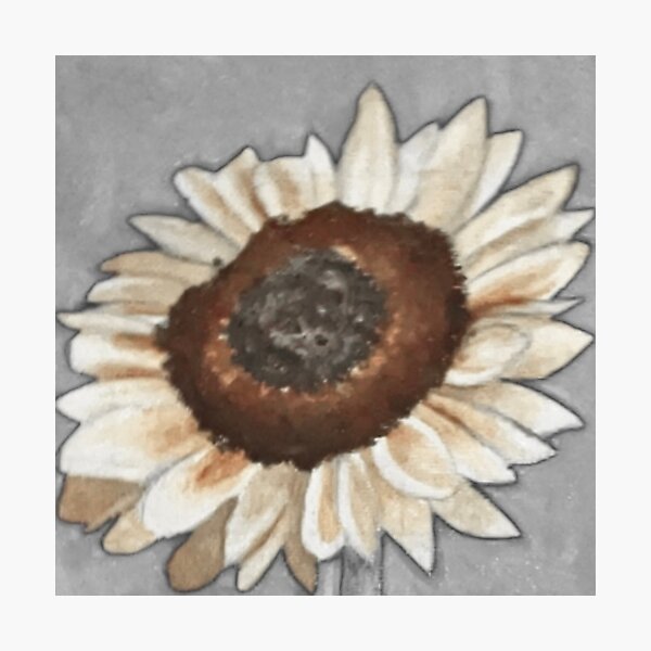 Desaturated Sunflower Photographic Print