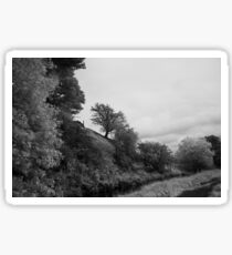 Black and White Trees Sticker