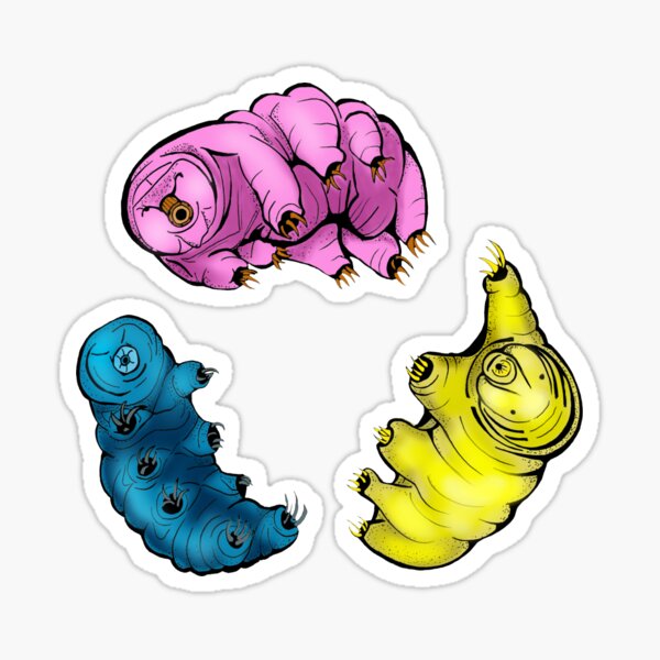 If Tardigrades Did Synchronized Swimming Sticker