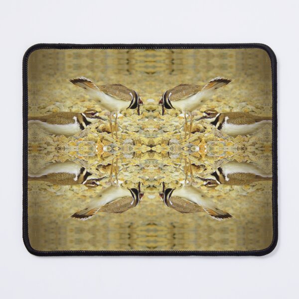 Item preview, Killdeer Reflections designed and sold by Jean Gregory Evans.