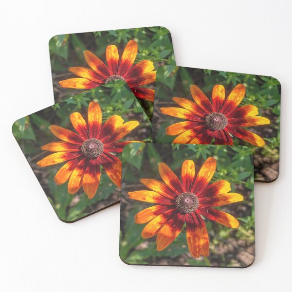 Item preview, Gloriosa Daisy designed and sold by Lanis Rossi.