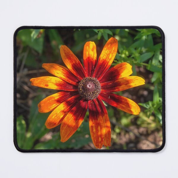 Item preview, Gloriosa Daisy designed and sold by Lanis Rossi.