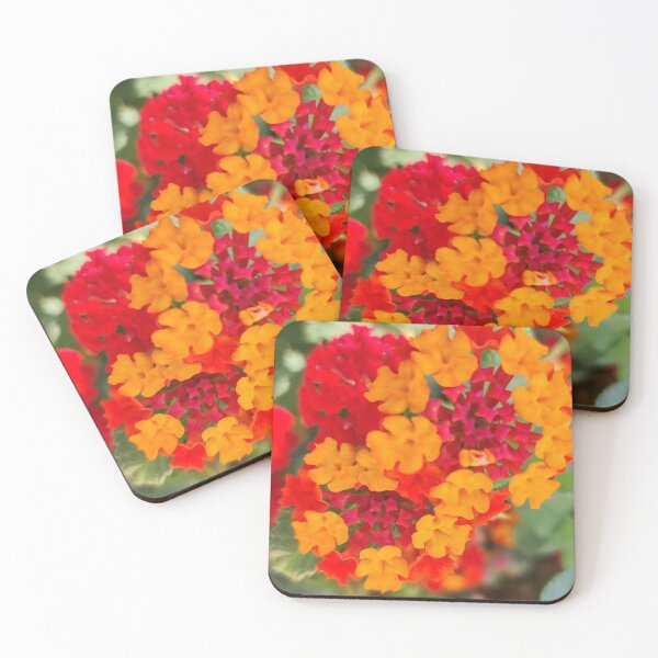Item preview, flower explosion designed and sold by allphotos.