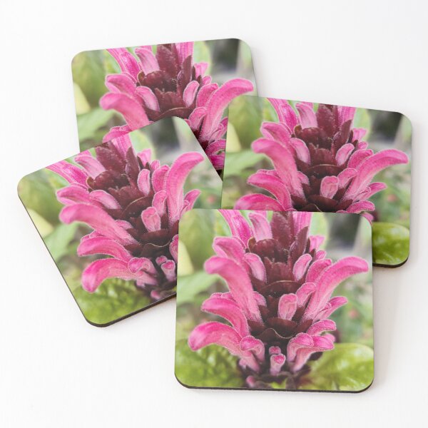 Item preview, pink flower designed and sold by allphotos.
