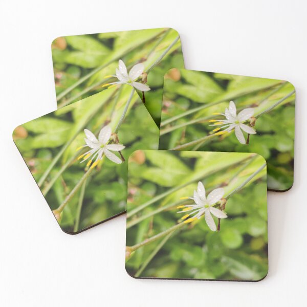 Item preview, beautiful white flower  designed and sold by allphotos.