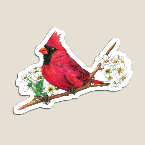 Item preview, Cardinal designed and sold by owleryartdesign.