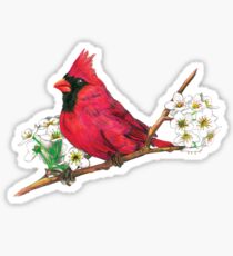 Cardinal Sticker