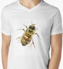 Honigbiene T-Shirt mit V-Ausschnitt für Männer